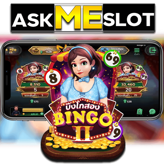 BINGO-2